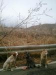 2013-03-25 08.07.57.jpg