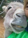 2013-04-01 10.56.03.jpg