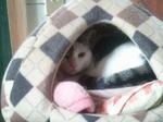 2013-04-02 11.56.32.jpg