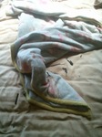 2013-04-04 10.23.48.jpg