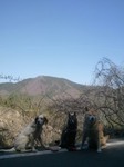 2013-04-04 10.40.11.jpg