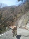 2013-04-04 12.02.37.jpg