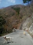 2013-04-05 10.07.43.jpg