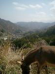 2013-04-05 10.53.00.jpg