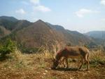 2013-04-05 10.54.36.jpg