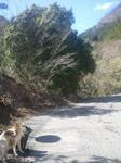 2013-04-07 10.20.49.jpg