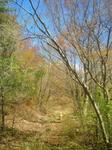2013-04-07 11.25.06.jpg