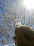 2013-04-07 11.32.36.jpg