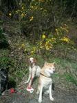2013-04-08 08.43.32.jpg