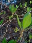 2013-04-08 09.17.52.jpg