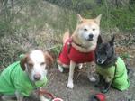2013-04-10 08.23.38.jpg