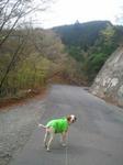 2013-04-10 08.28.13.jpg
