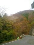 2013-04-10 08.30.51.jpg