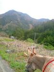 2013-04-10 09.25.29.jpg