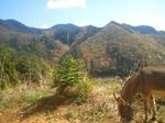 2013-04-11 09.21.21.jpg