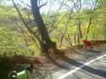 2013-04-12 08.19.55.jpg
