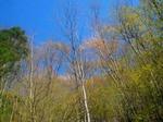 2013-04-12 08.26.21.jpg