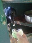2013-04-12 10.39.55.jpg