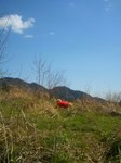 2013-04-13 10.11.06.jpg