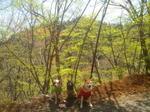 2013-04-13 10.33.46.jpg