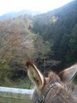 2013-04-13 11.15.18.jpg