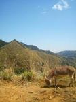 2013-04-13 11.22.47.jpg