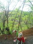 2013-04-17 08.21.34.jpg