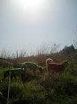 2013-04-18 08.18.25.jpg