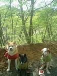 2013-04-18 08.28.12.jpg