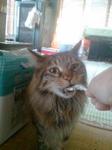 2013-04-18 14.03.53.jpg