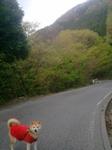 2013-04-19 08.31.30.jpg