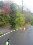 2013-04-21 11.14.55.jpg