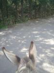 2013-04-23 09.15.51.jpg