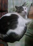 2013-04-23 19.59.24.jpg