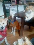 2013-04-24 07.40.14.jpg