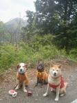 2013-04-24 08.14.49.jpg