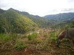 2013-04-25 09.25.36.jpg