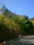 2013-04-27 08.30.36.jpg
