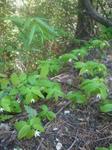 2013-04-28 09.45.40.jpg