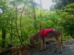 2013-04-29 09.24.28.jpg