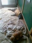 2013-04-29 10.05.16.jpg
