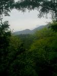 2013-04-30 10.53.48.jpg