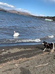IMG_0238.JPG