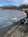 IMG_0240.JPG