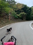 IMG_0327.JPG