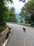 IMG_0330.JPG