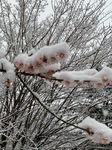 IMG_0688.JPG