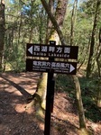 IMG_0905.JPG