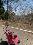 IMG_0957.JPG