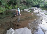 IMG_1134.jpg